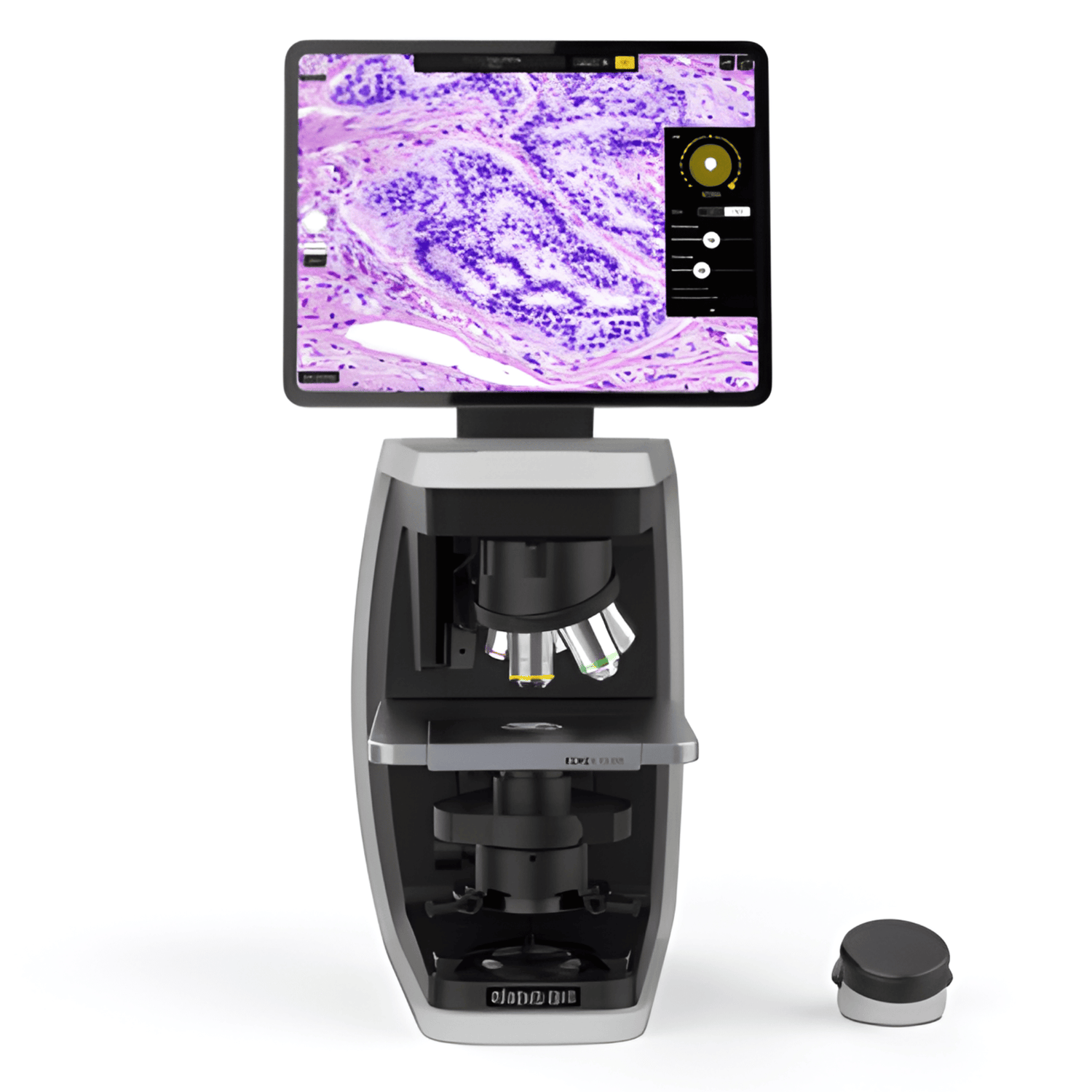 A Workhorse Microscope for Brightfield/Tissue Culture.