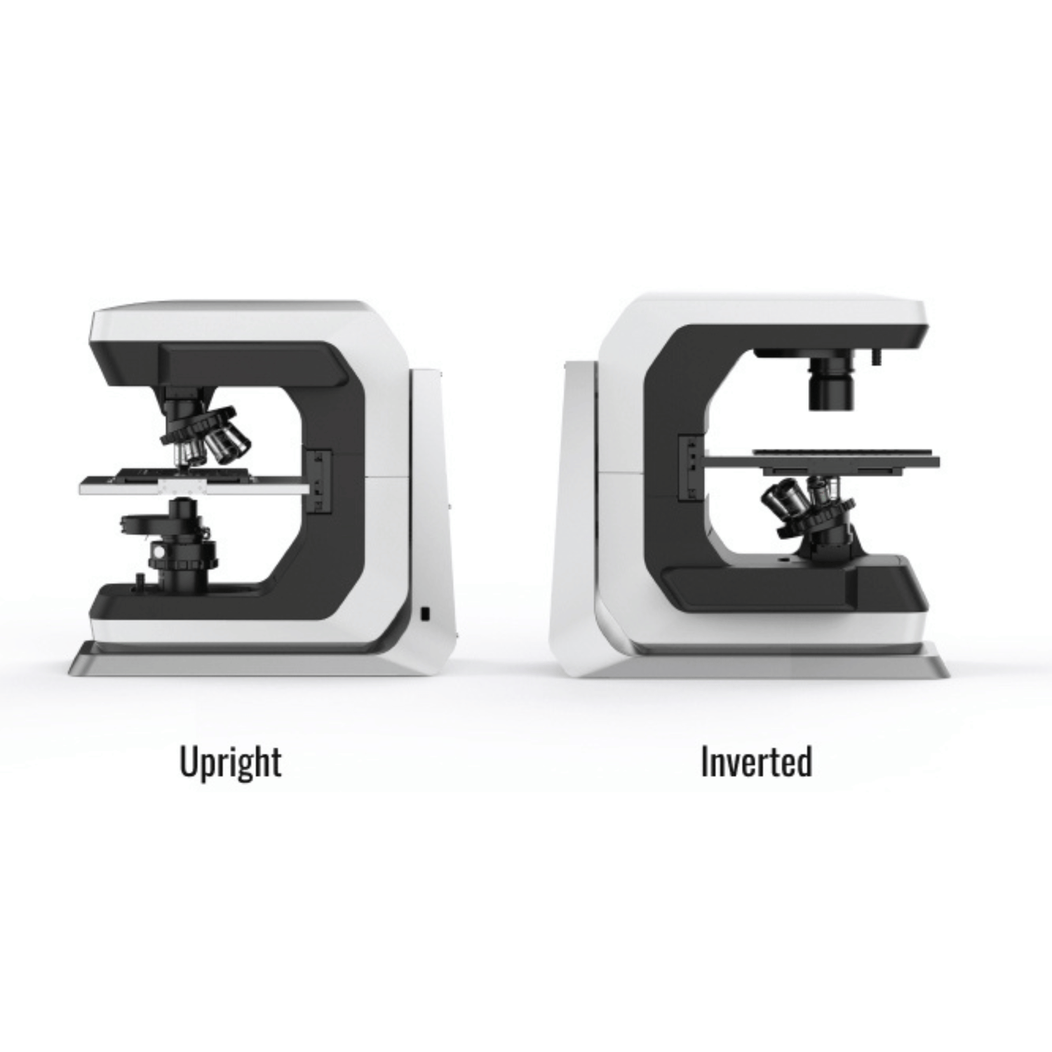 Meet The Hybrid Microscope