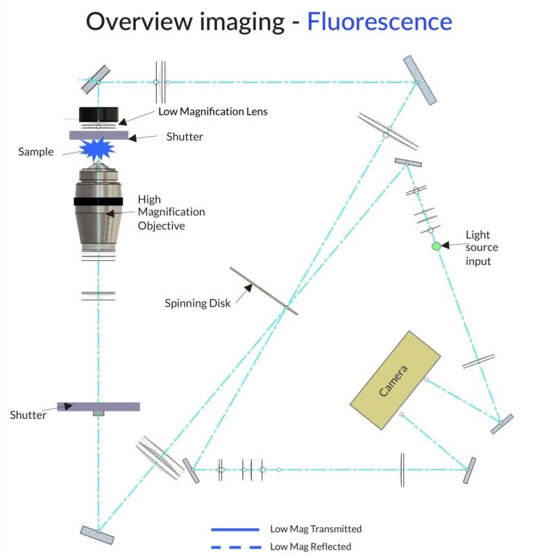 Aurox Unity Confocal