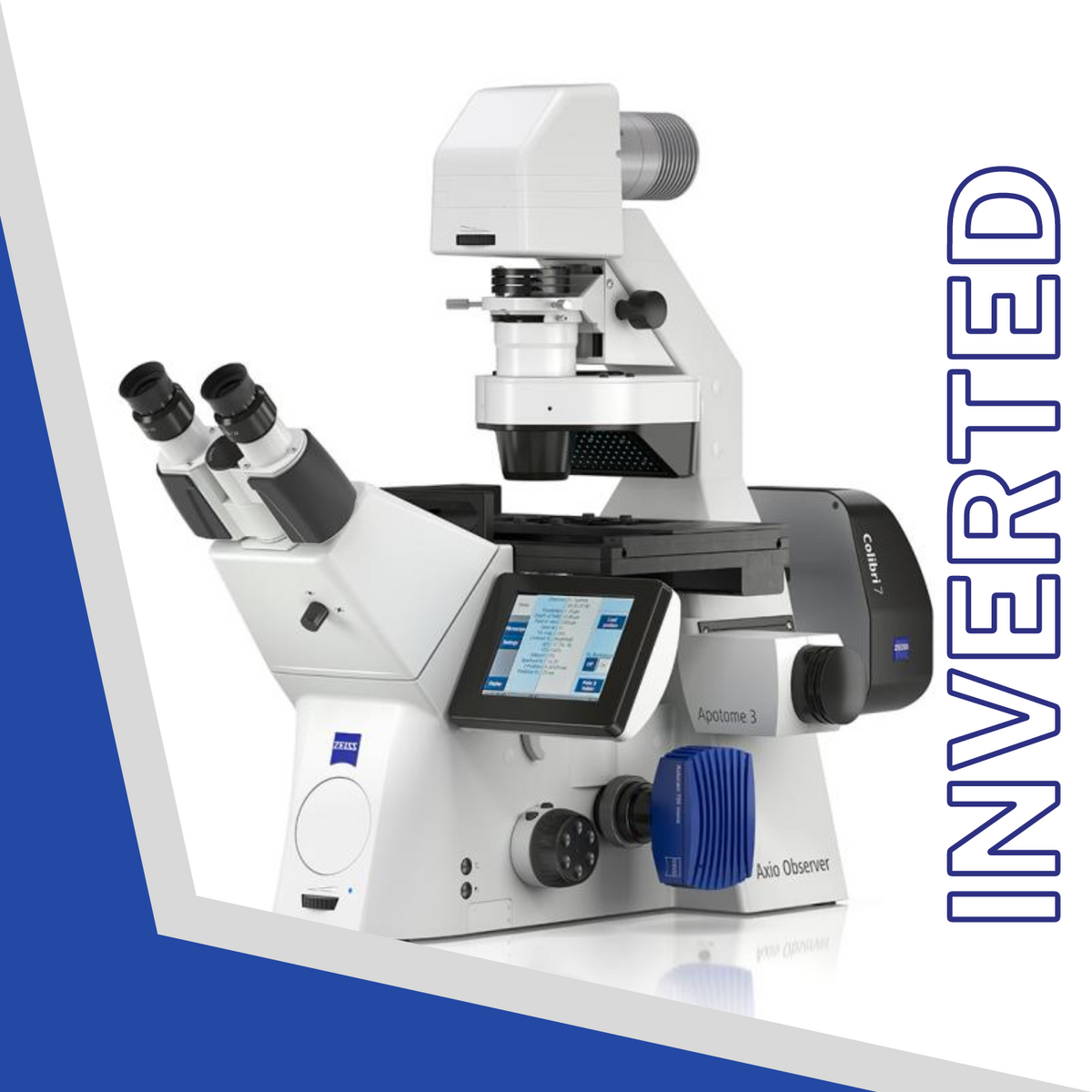 Microscope Merge Image ZEISS