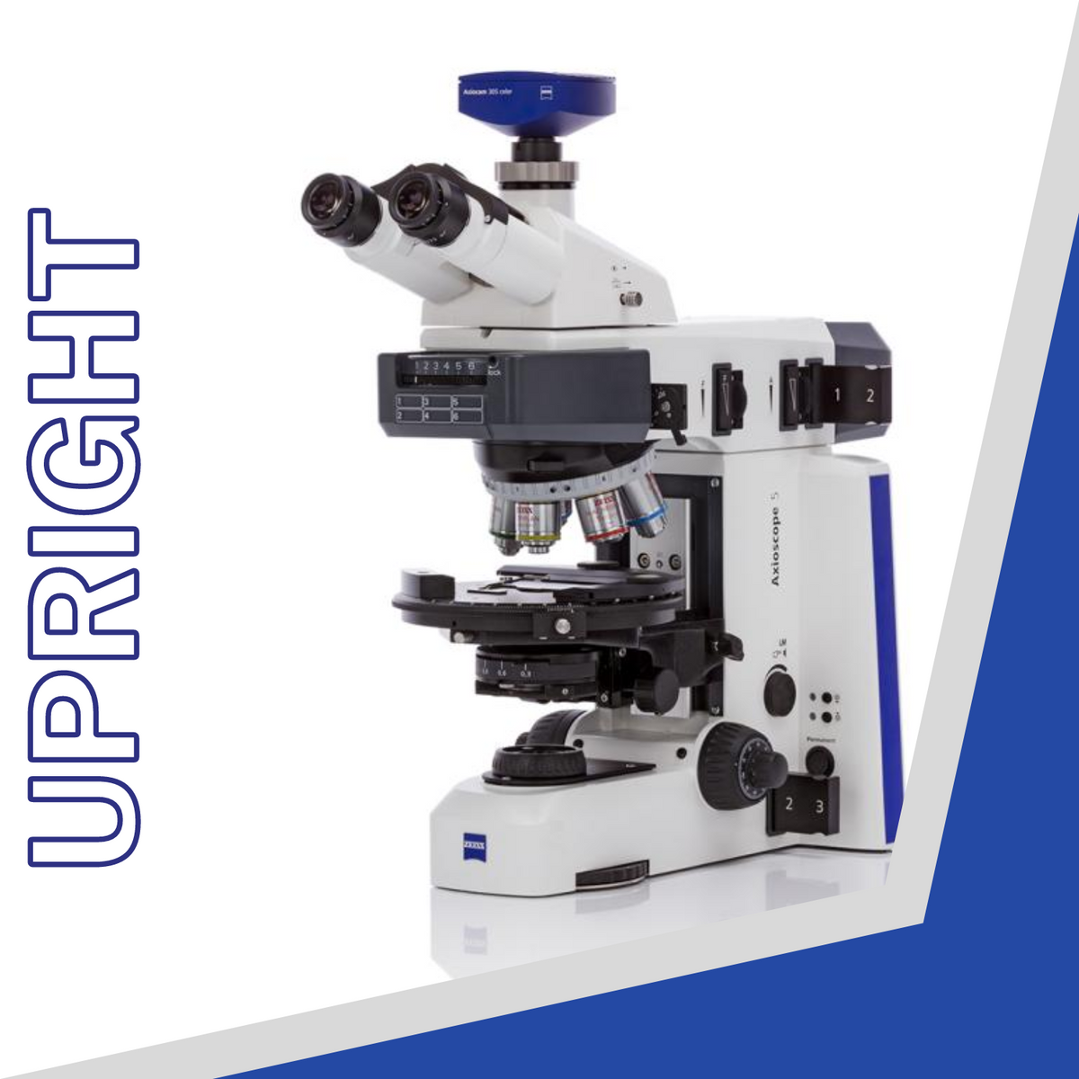 Microscope Merge Image ZEISS