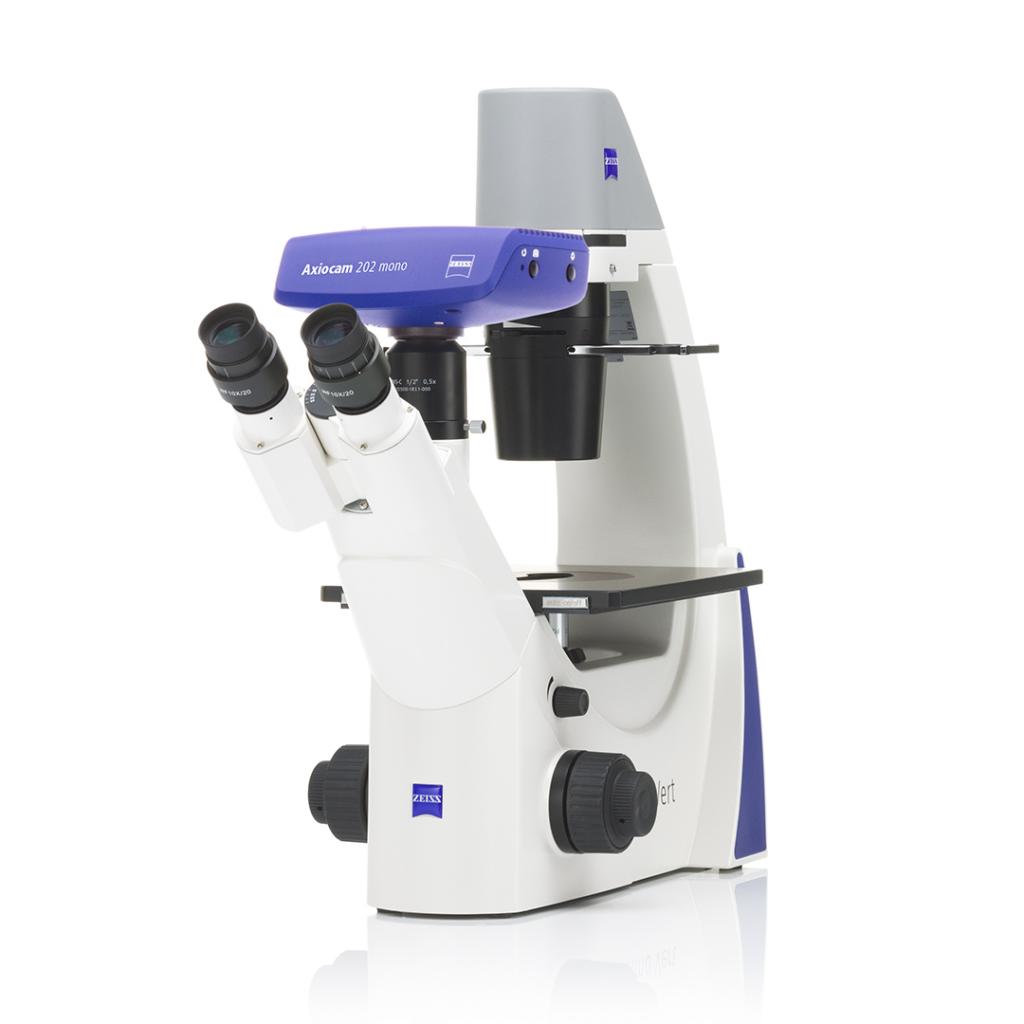 Primovert Microscope